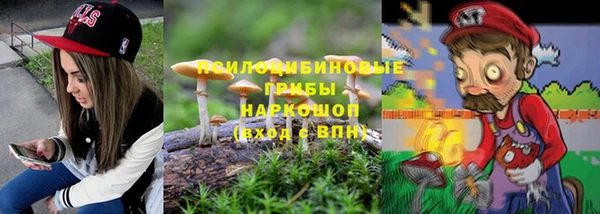 стафф Арсеньев