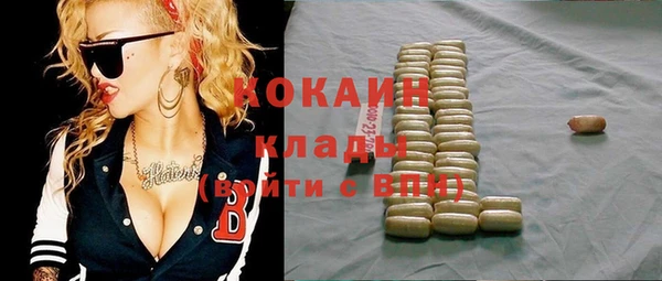 стафф Арсеньев